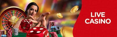 bet5u bet